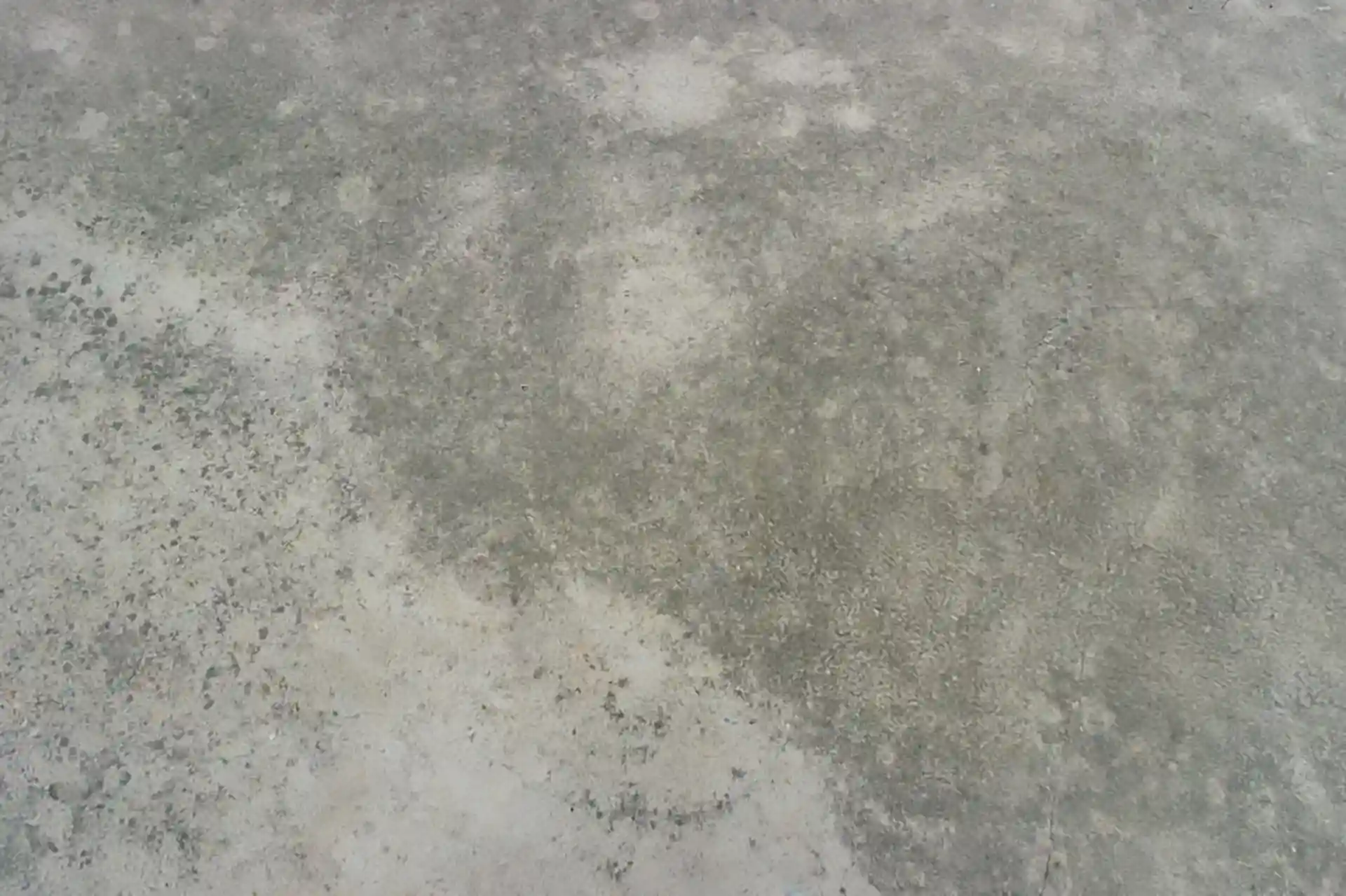 Smooth, light gray stained concrete surface with subtle marbling and cloudy variations in color. 
